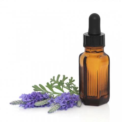 lavender-oil.jpg