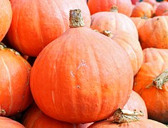 pumpkins-469593__180.jpg